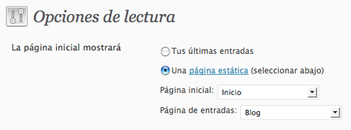 wp_opciones_lectura